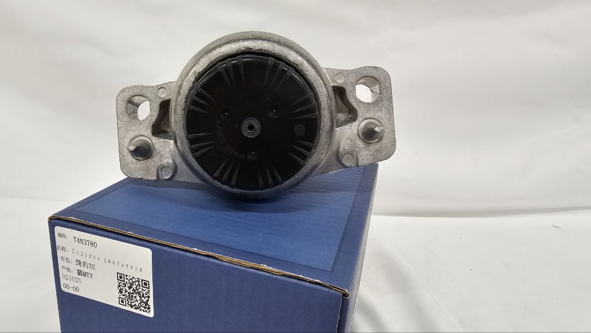 photo_2025-02-16_19-02-27