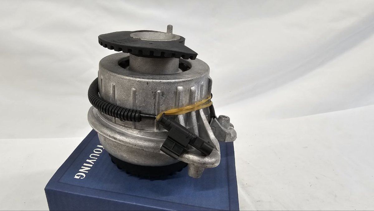 photo_2025-02-20_16-52-01