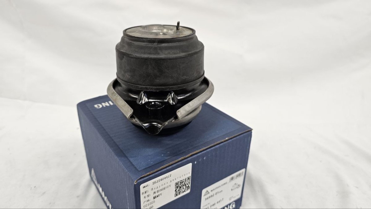 photo_2025-03-23_08-41-47