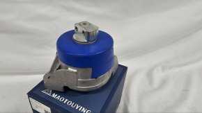 photo_2025-03-23_08-35-41