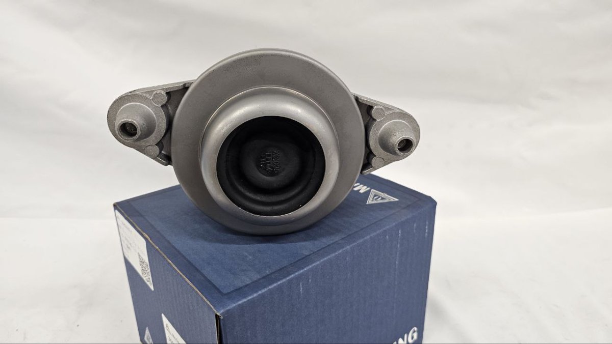 photo_2025-02-20_16-37-07