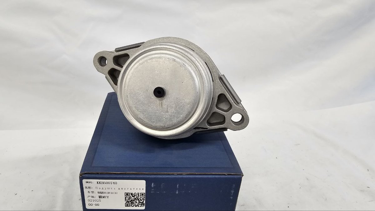 photo_2025-02-22_15-46-31