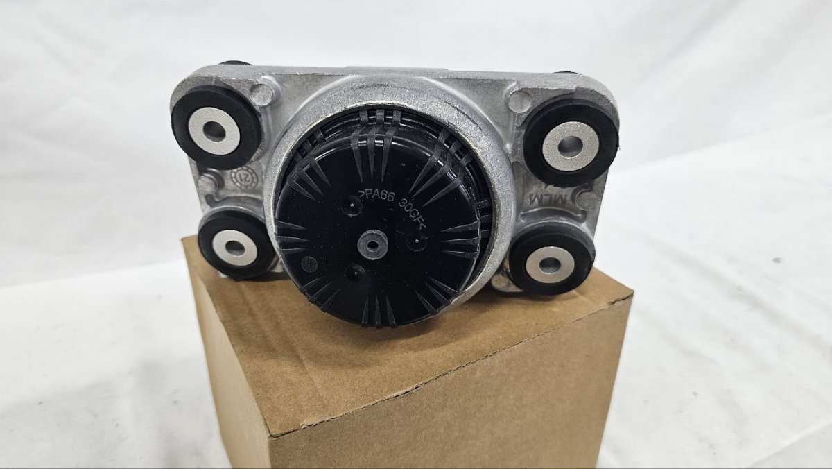 photo_2025-02-22_15-36-21