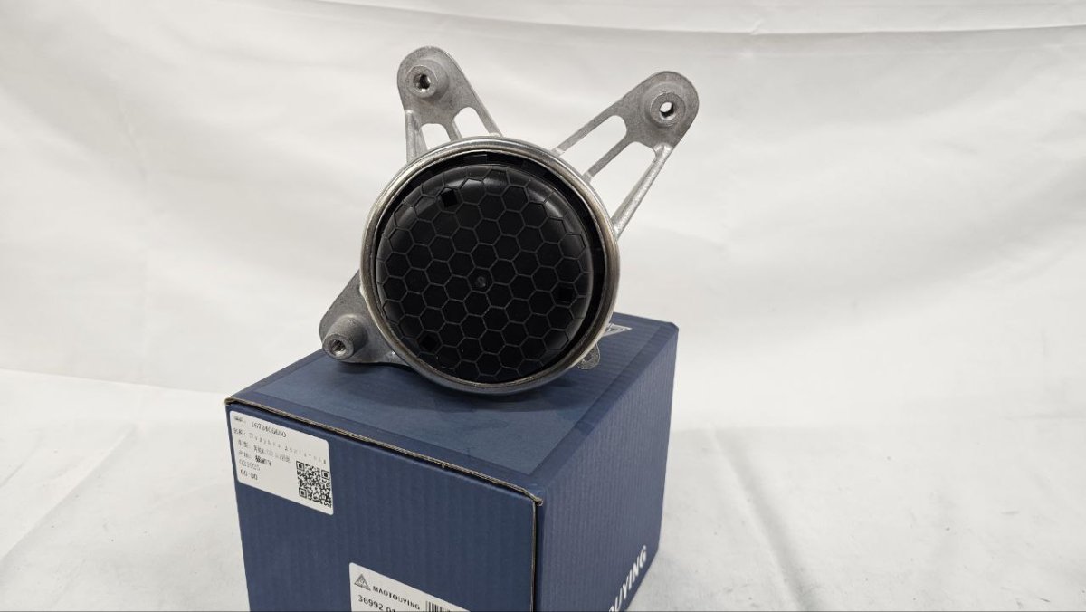 photo_2025-03-23_08-43-13