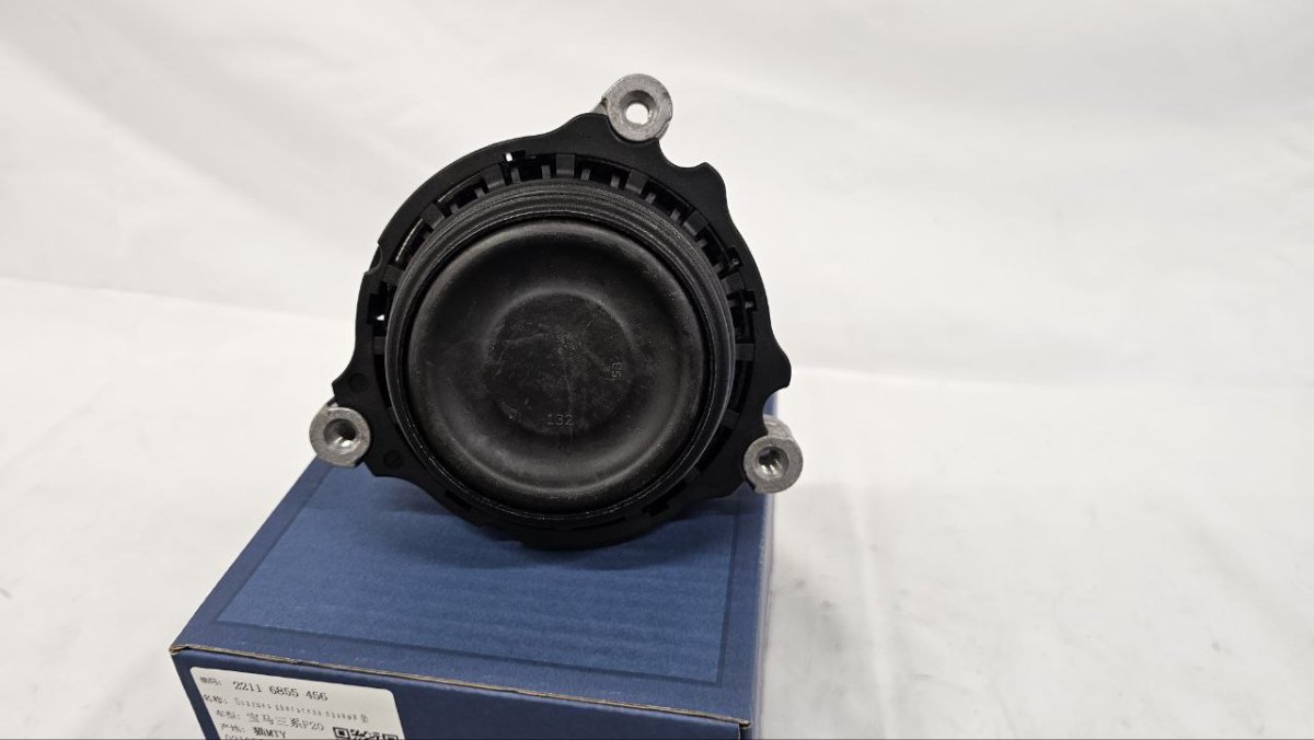 photo_2025-02-20_16-40-42