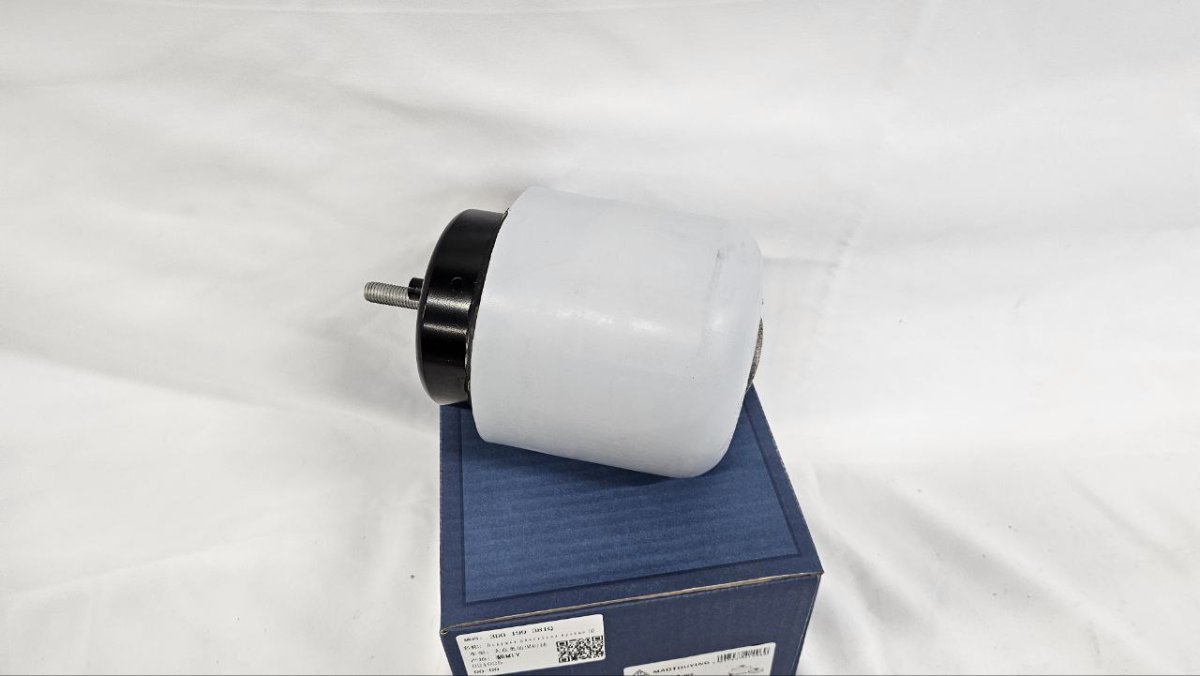 photo_2025-02-20_16-46-21