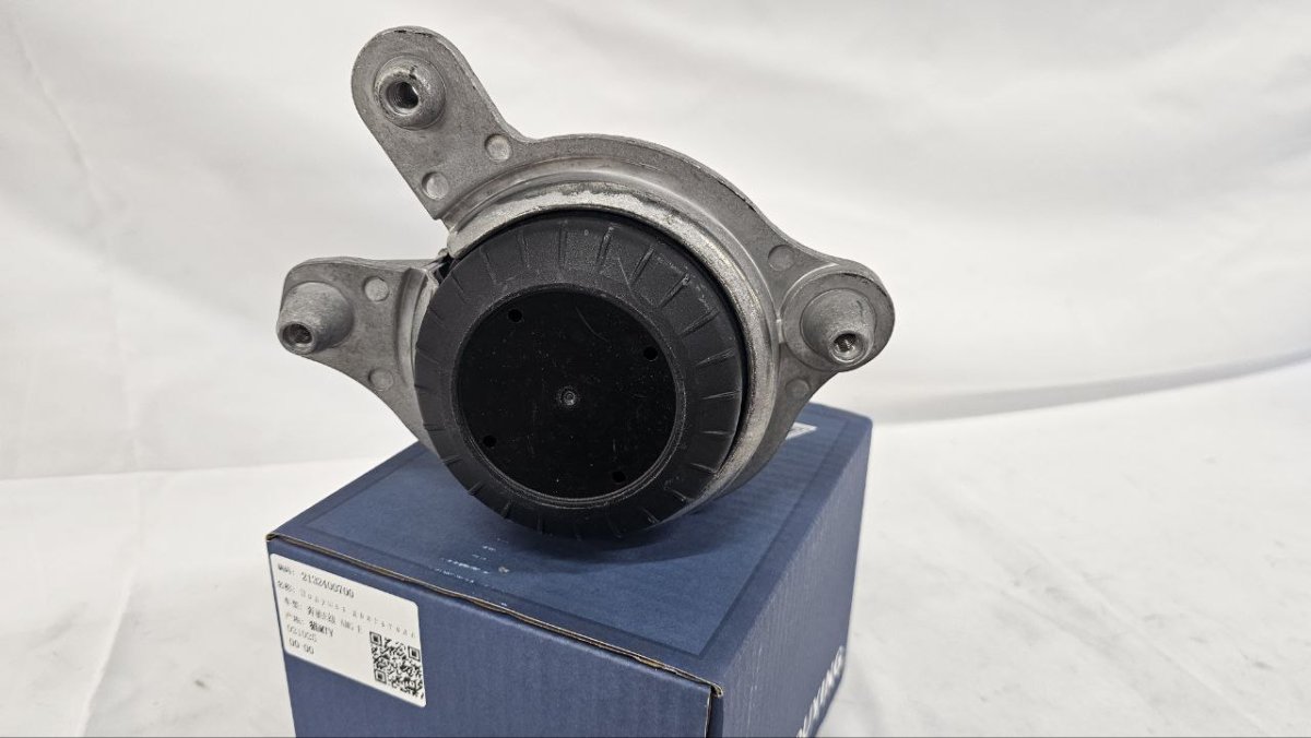 photo_2025-02-22_15-33-20