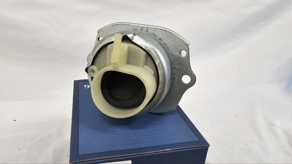 photo_2025-03-23_08-40-19