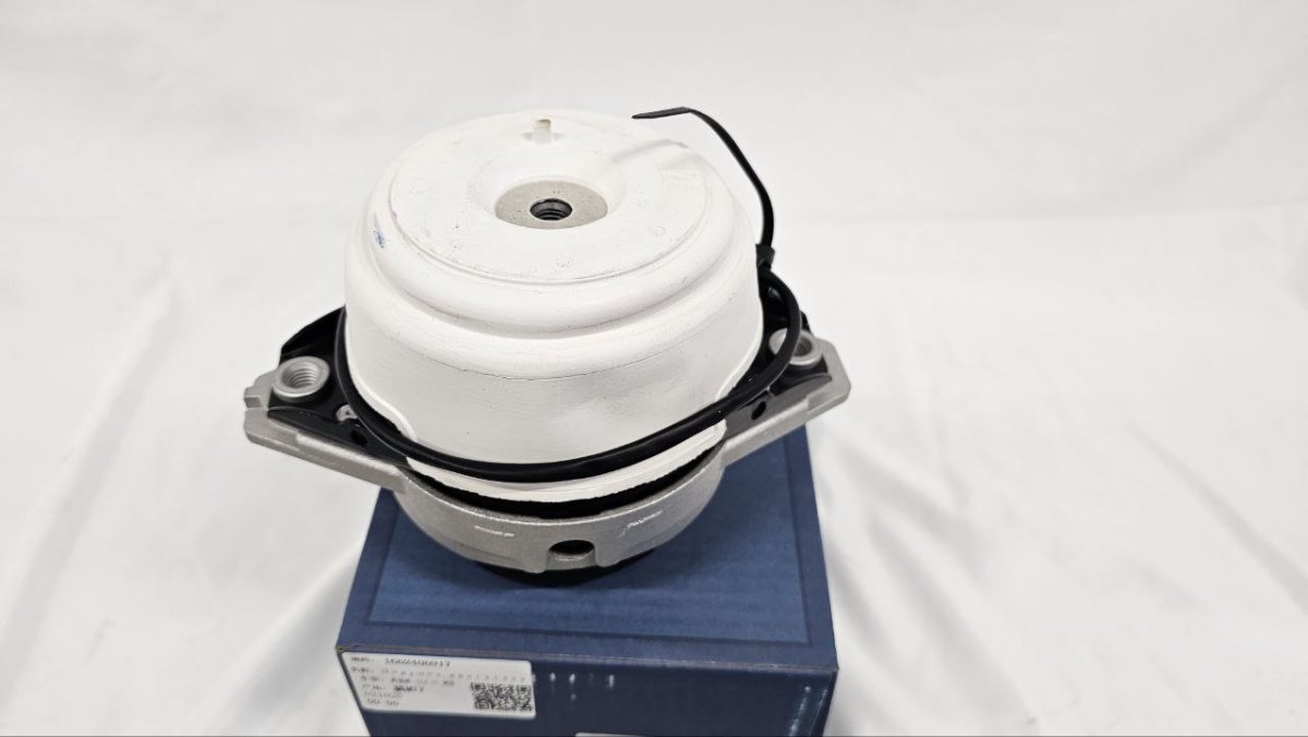 photo_2025-03-25_10-24-53