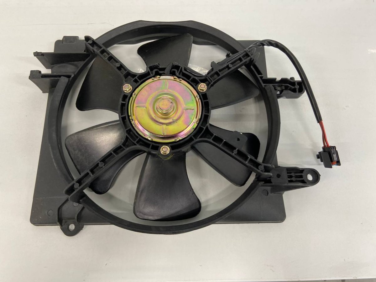 photo_2024-09-13_09-39-10