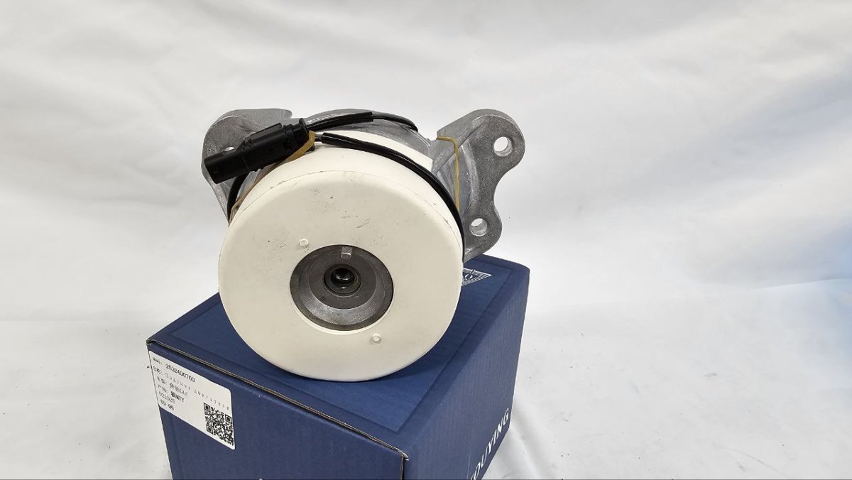 photo_2025-02-20_16-47-16