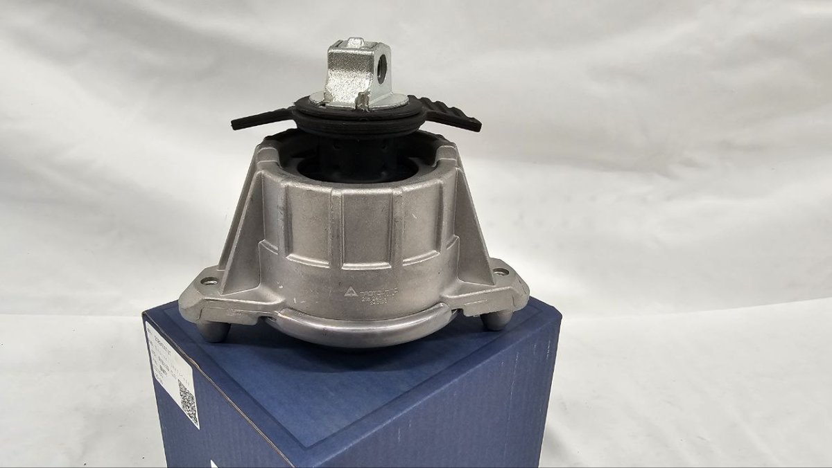 photo_2025-02-20_16-37-02