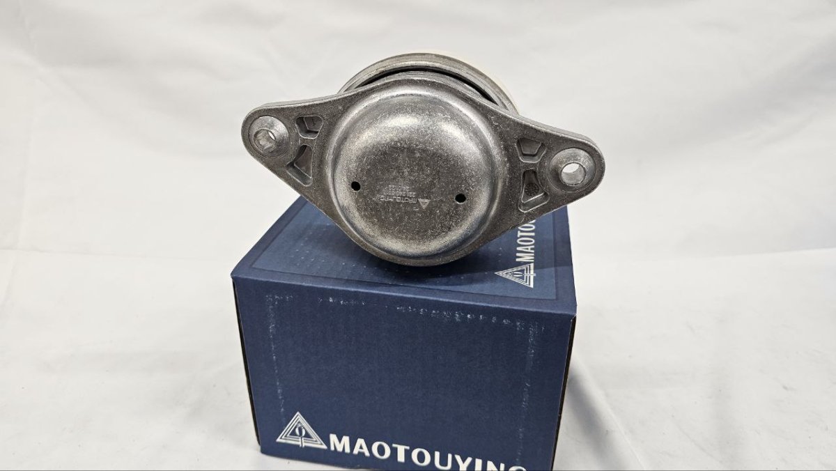 photo_2025-02-20_16-36-46