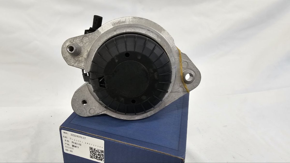 photo_2025-02-20_16-54-40