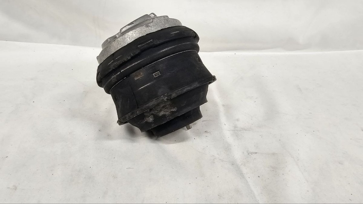 photo_2025-02-20_16-38-48