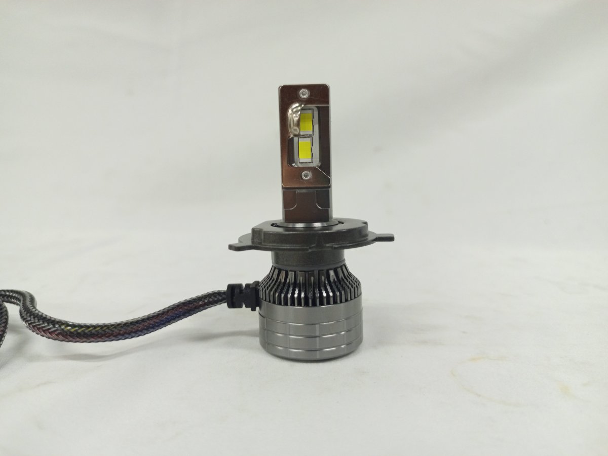 IMG_20250330_145528_235