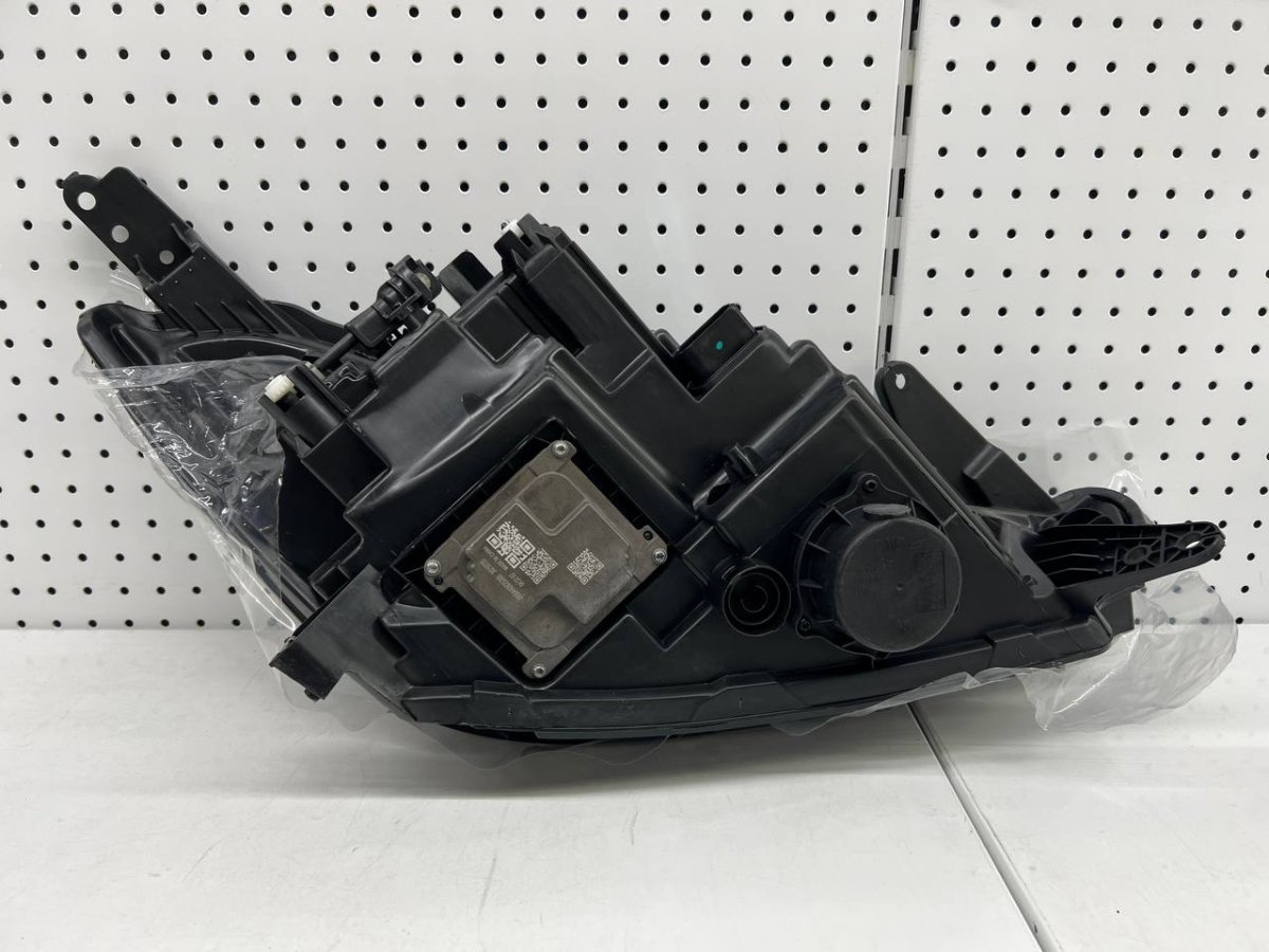 photo_2024-10-15 16.35.42