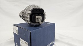 photo_2025-03-25_10-23-55