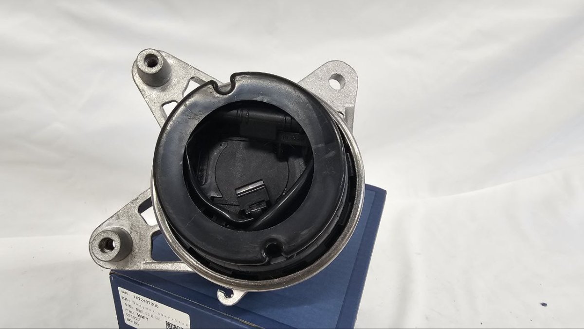 photo_2025-02-20_16-52-54