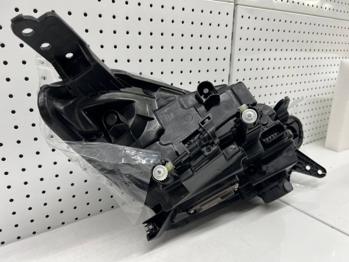 photo_2024-10-15 16.35.45