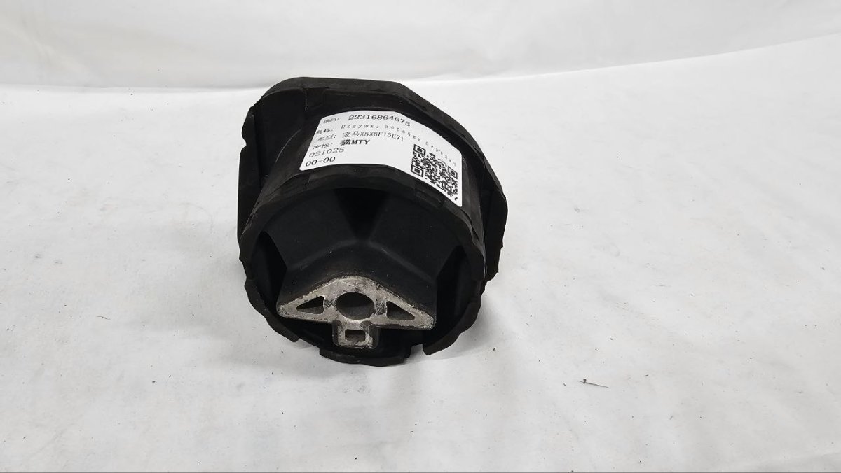 photo_2025-02-20_16-38-25