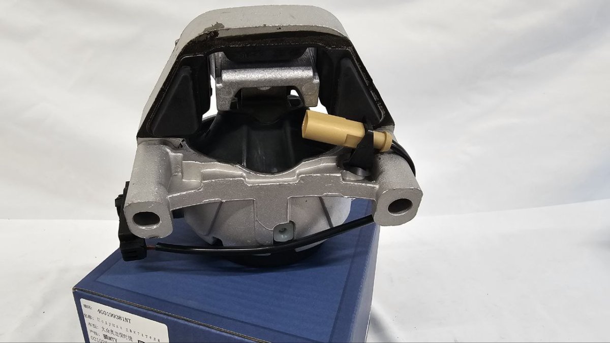 photo_2025-02-20_16-39-58