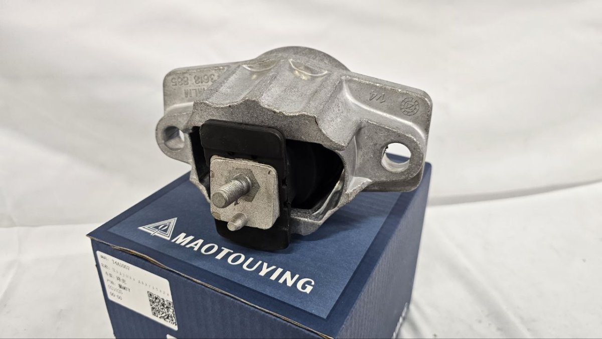 photo_2025-03-23_08-31-26