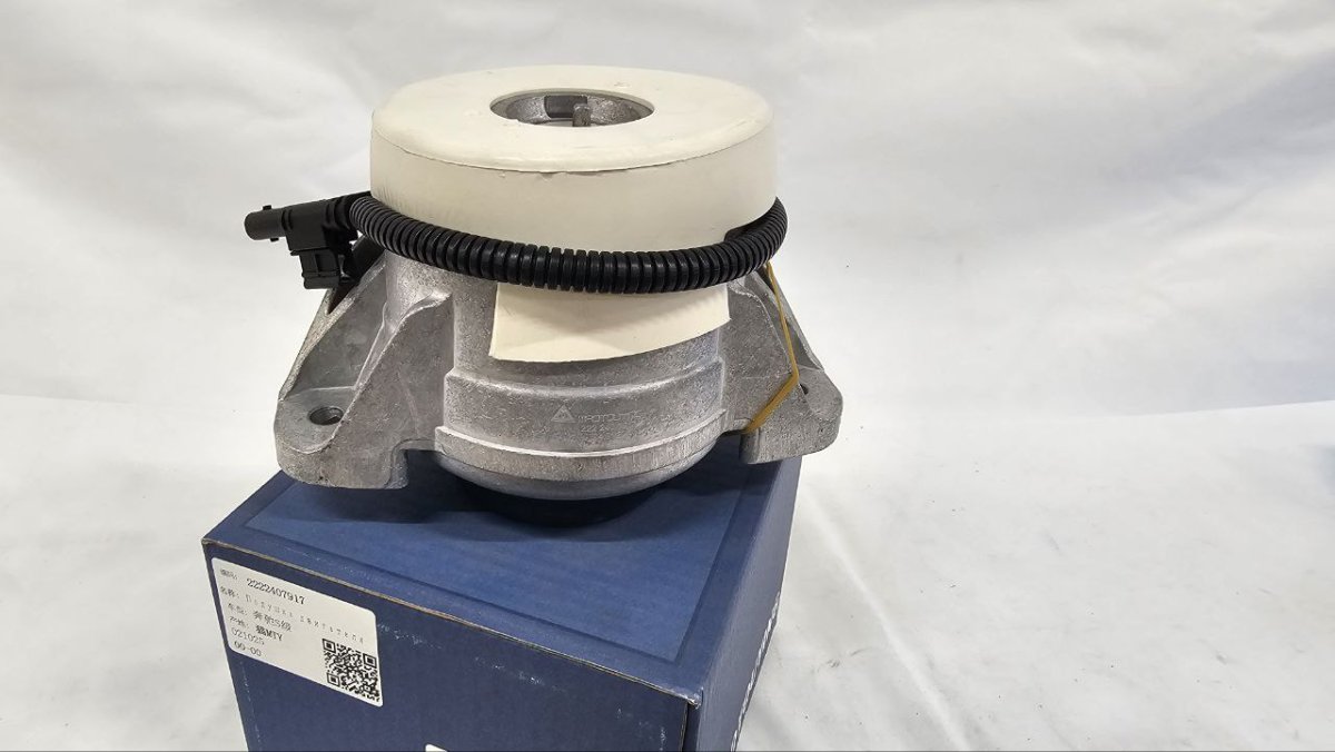 photo_2025-02-20_16-37-26