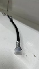 photo_2025-07-05_09-21-56