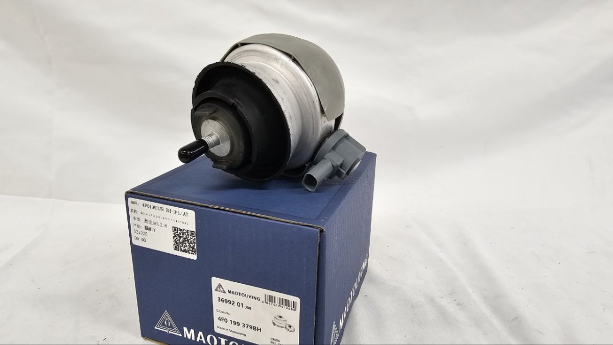 photo_2025-03-23_08-42-49