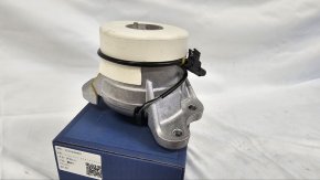 photo_2025-02-20_16-55-11