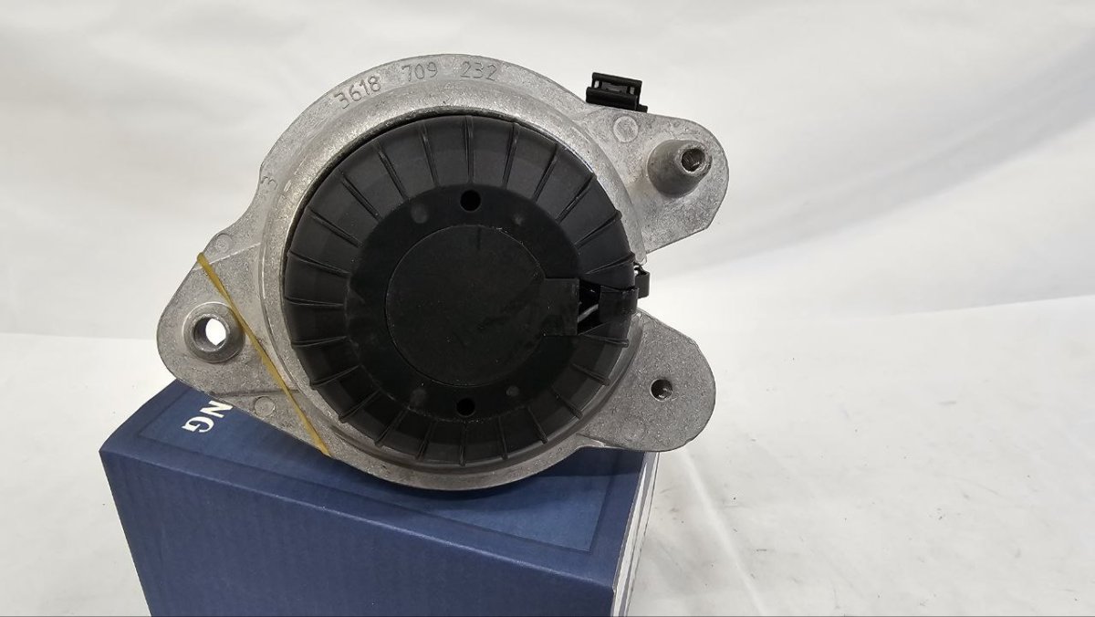 photo_2025-02-20_16-52-04