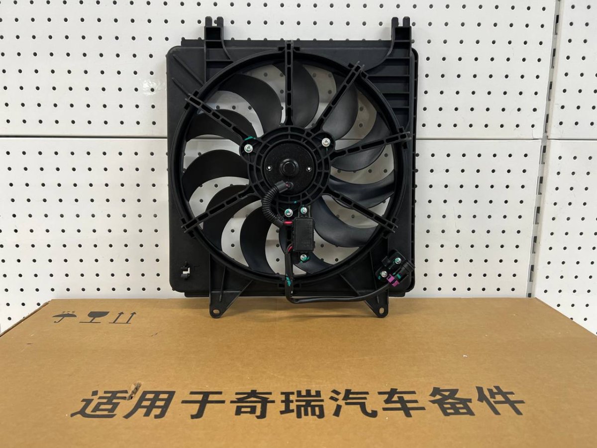 photo_2024-09-23_11-54-45