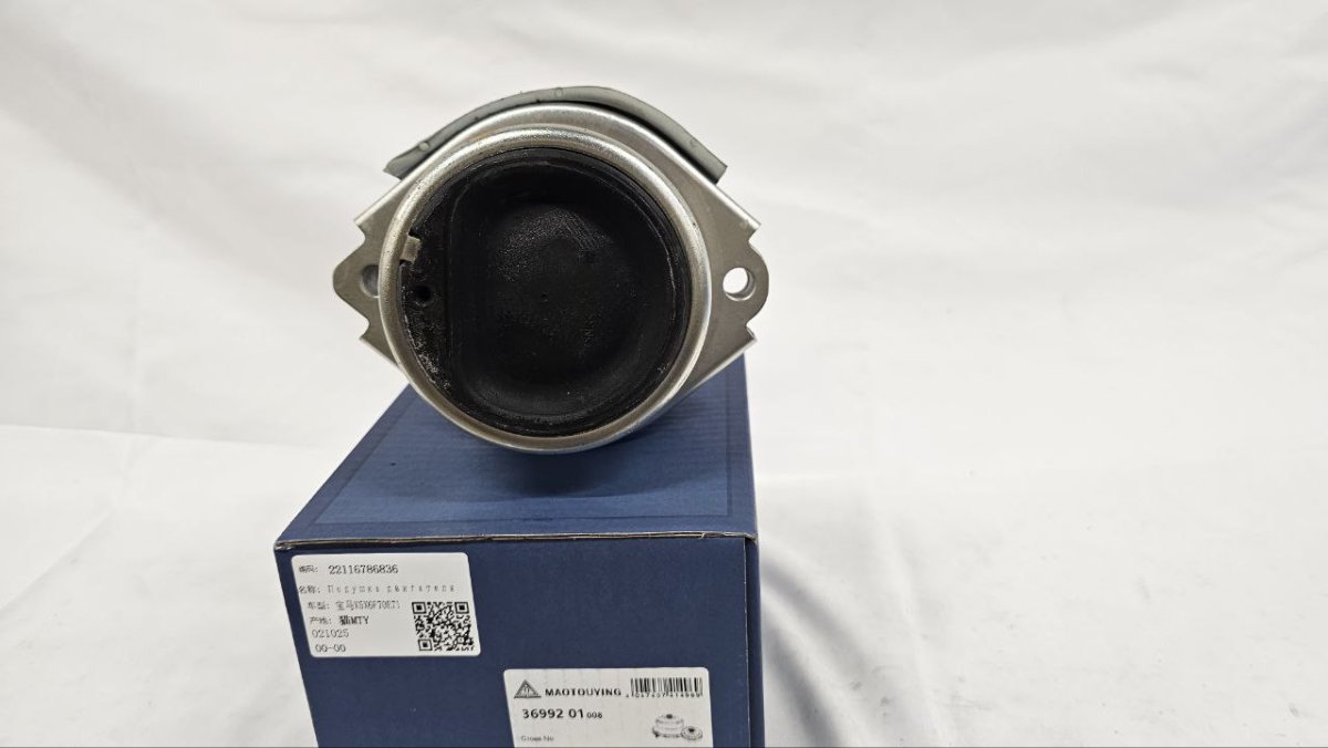 photo_2025-02-20_16-40-58