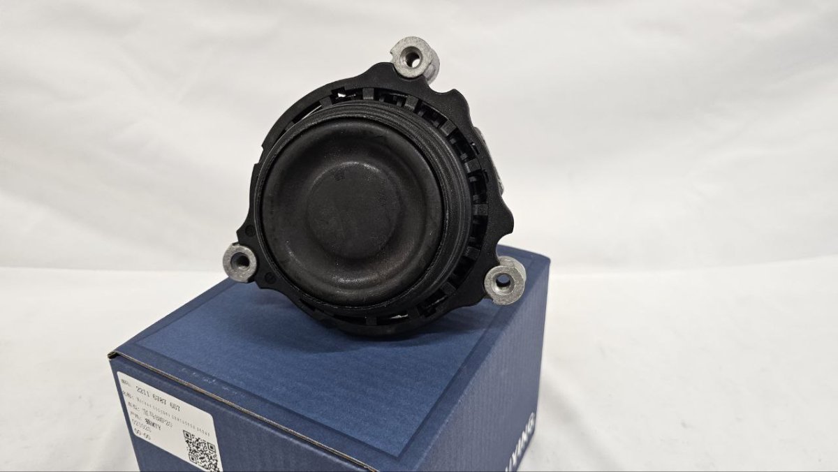 photo_2025-02-20_16-39-02