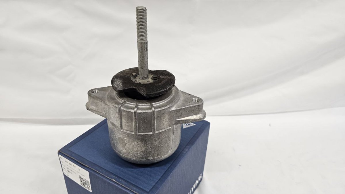 photo_2025-02-16_18-58-27