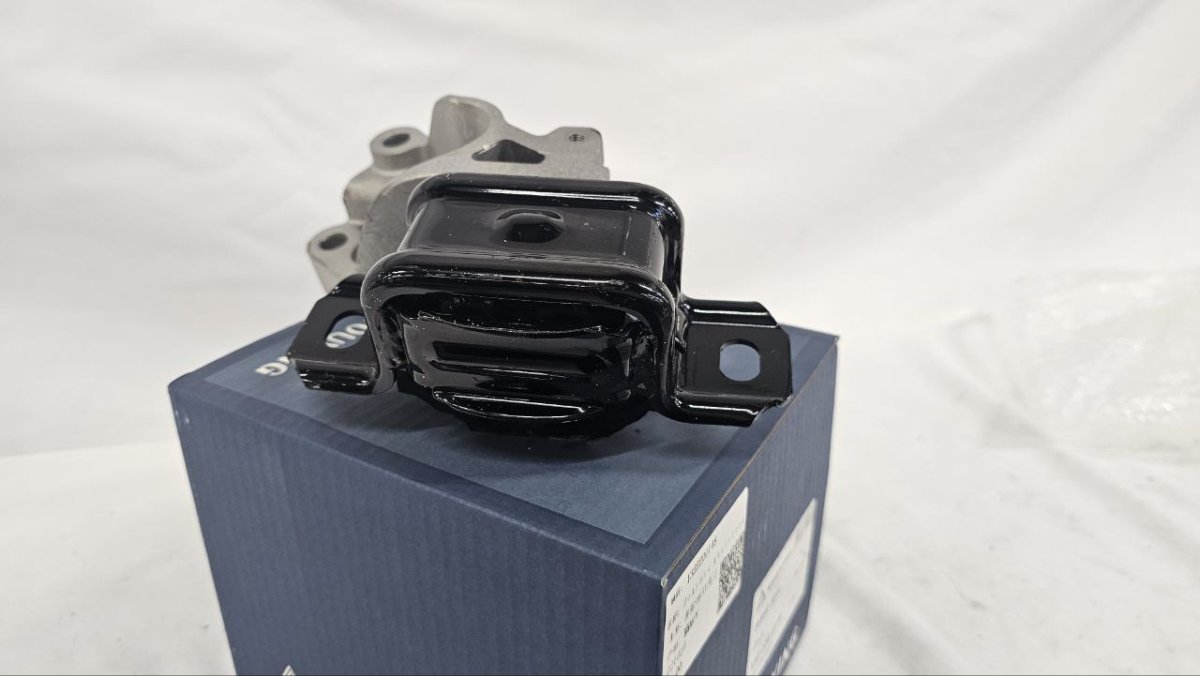 photo_2025-02-22_15-46-00