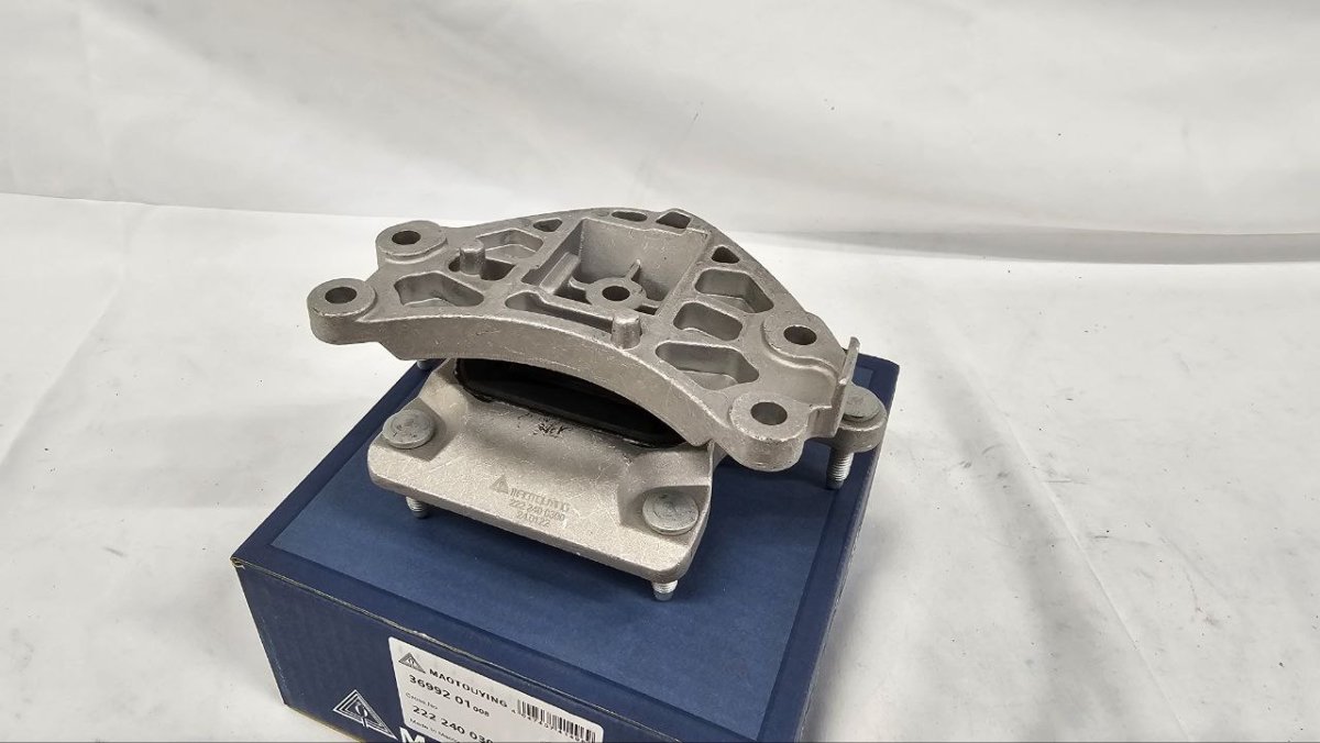 photo_2025-02-20_16-43-16