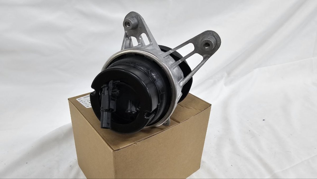 photo_2025-02-22_15-37-12