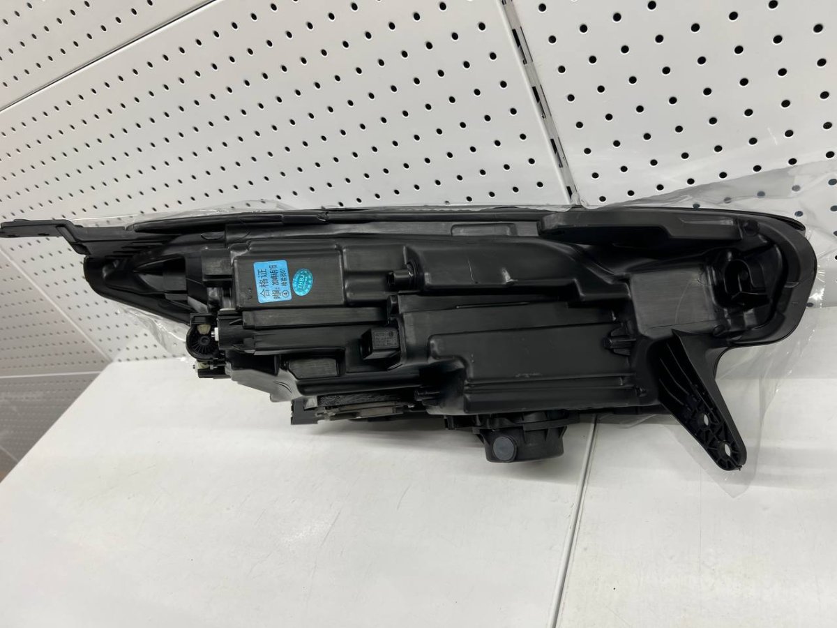 photo_2024-10-15 16.35.44