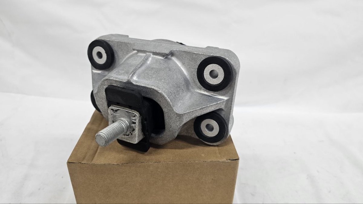 photo_2025-02-22_15-36-16