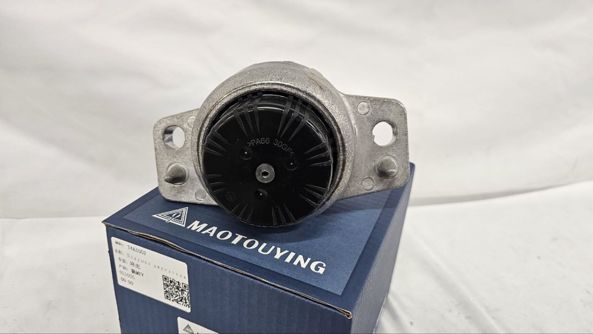 photo_2025-03-23_08-31-33