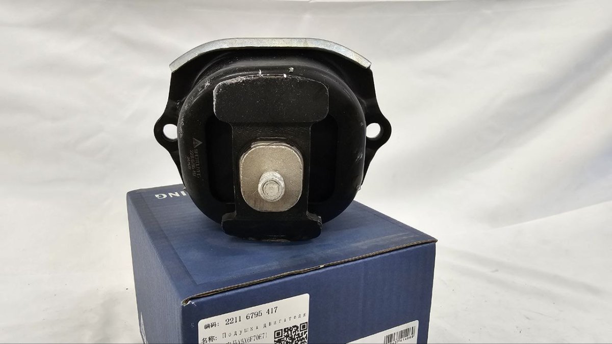 photo_2025-02-20_16-51-05