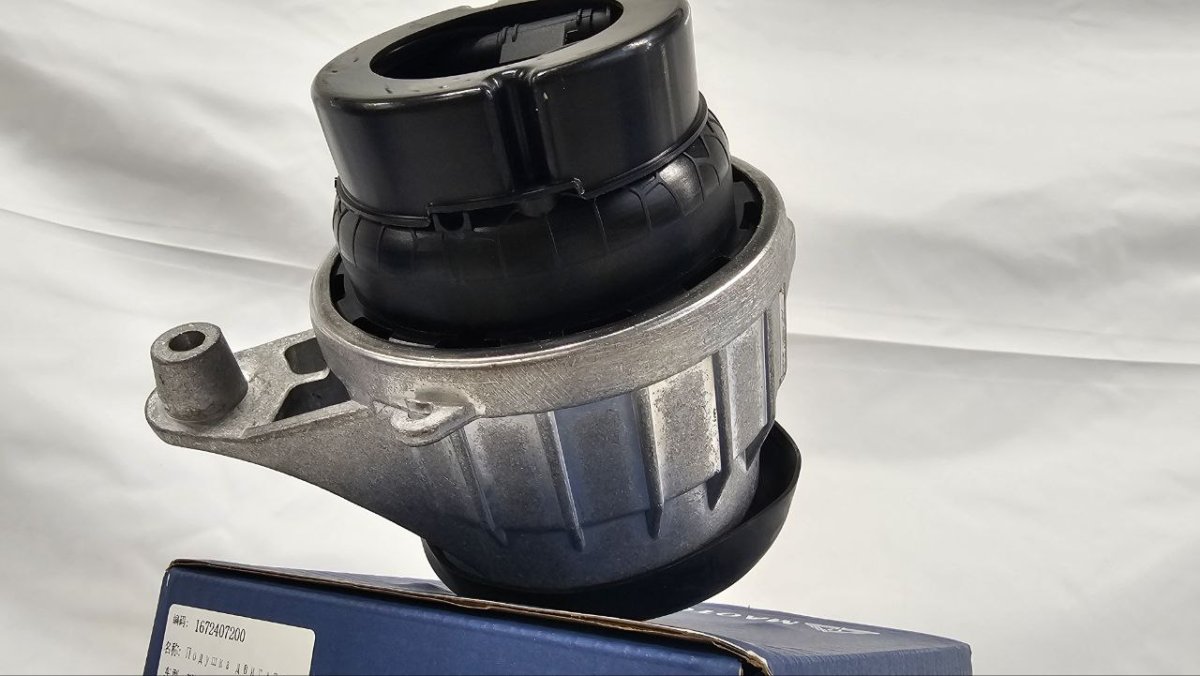 photo_2025-02-20_16-52-57