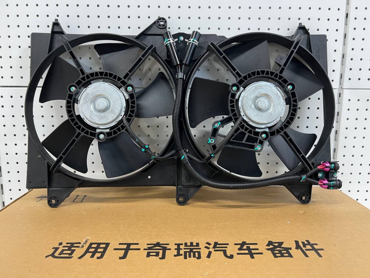 photo_2024-09-23_13-39-54