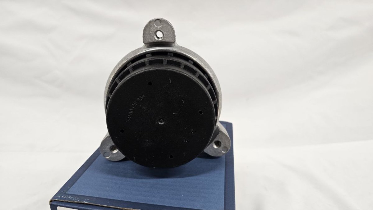 photo_2025-02-20_16-35-35