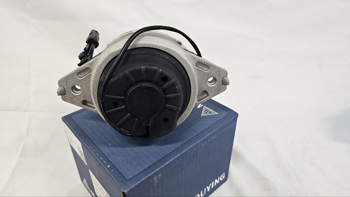 photo_2025-02-20_16-48-21