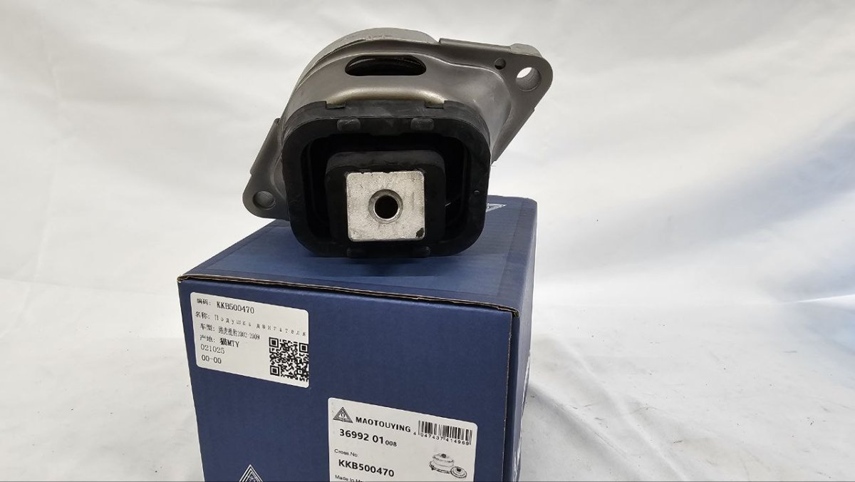 photo_2025-02-20_16-49-18