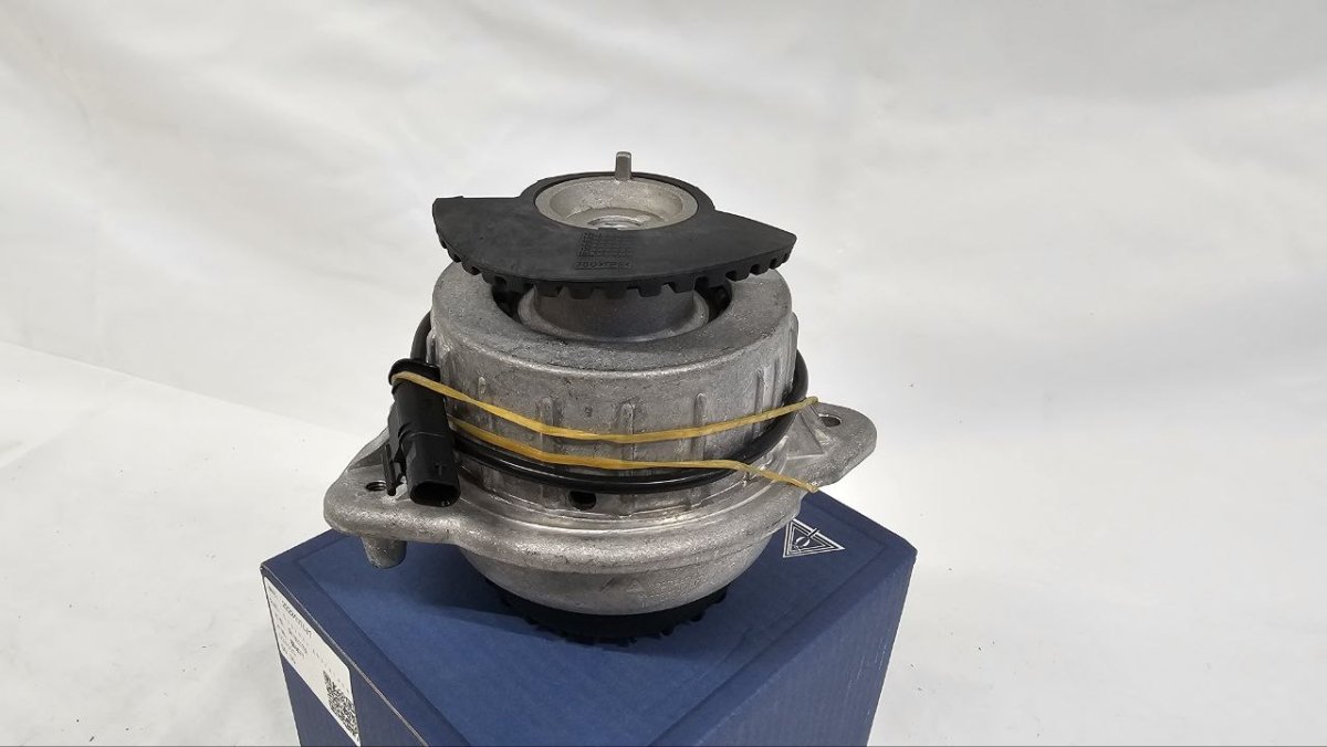 photo_2025-02-20_16-54-36