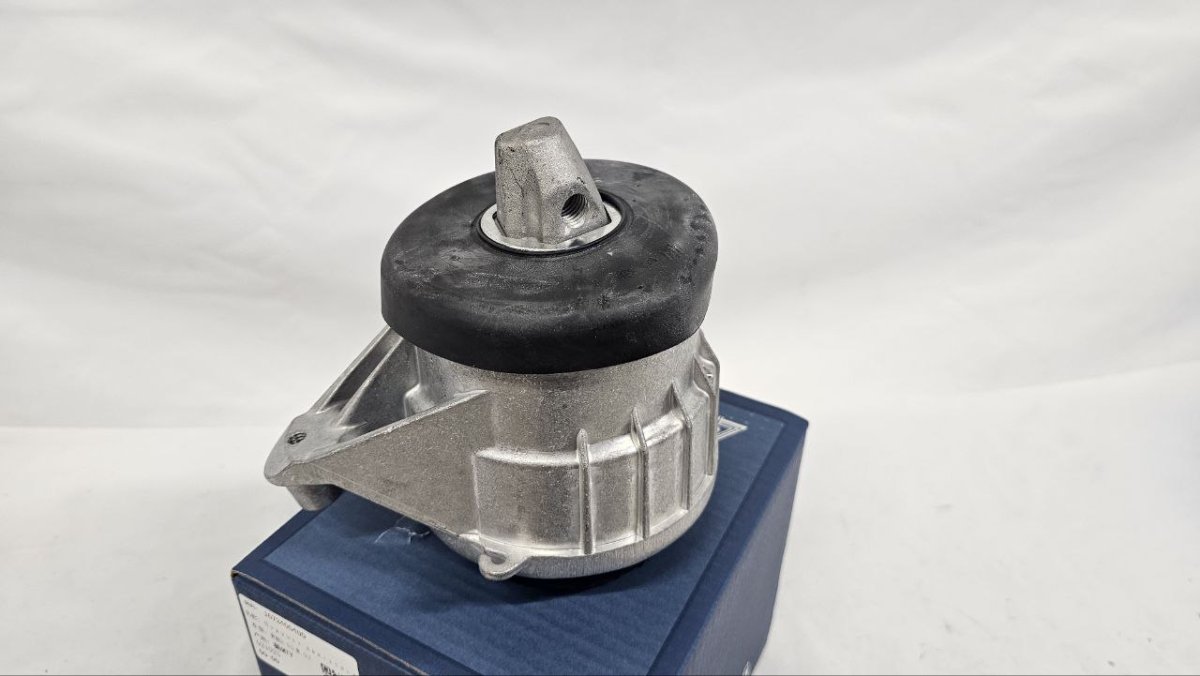 photo_2025-02-20_16-53-21